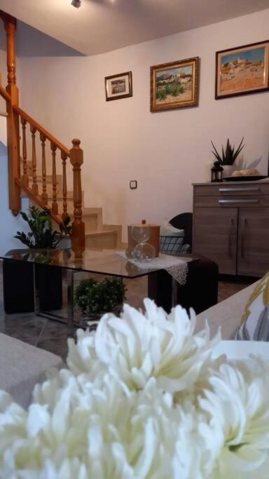 Casa Joana Villa Canyelles  Eksteriør billede